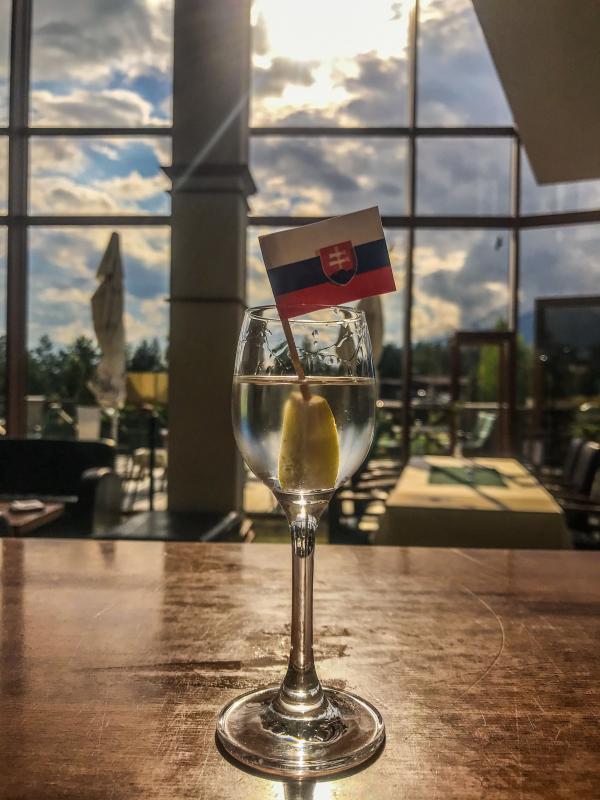 Lobby bar Hotel International Tatry