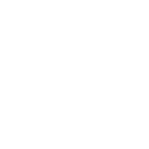 Black Stork logo