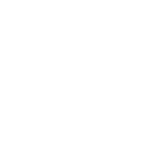 Hotel International